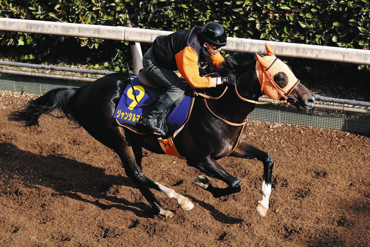 マイルCS展望】安田記念制したジャンタルマンタルが春秋マイルG1連勝