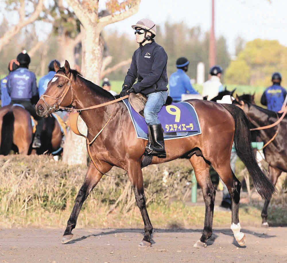 タスティエーラ アイドルホース クイーンエリザベスII世C 唯一の外国馬