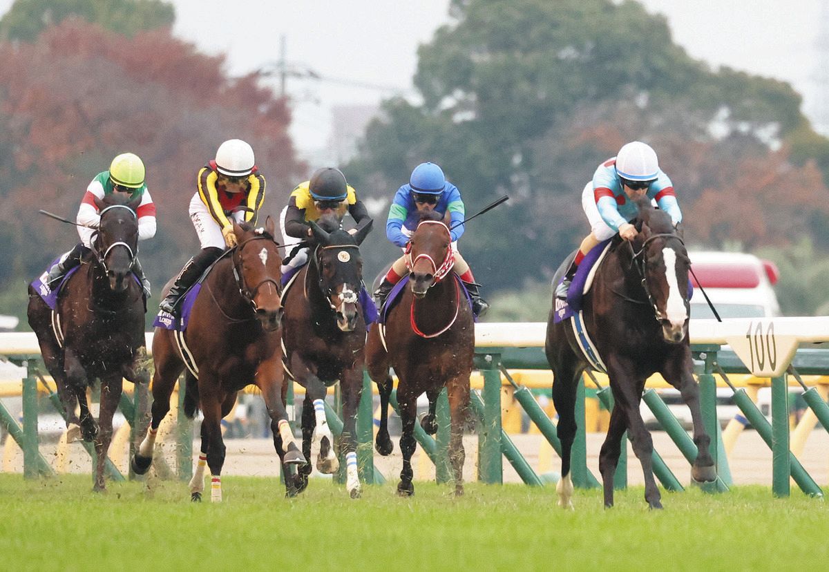 ジャパンC売り上げは大幅増の260億円 イクイノックスとリバティ