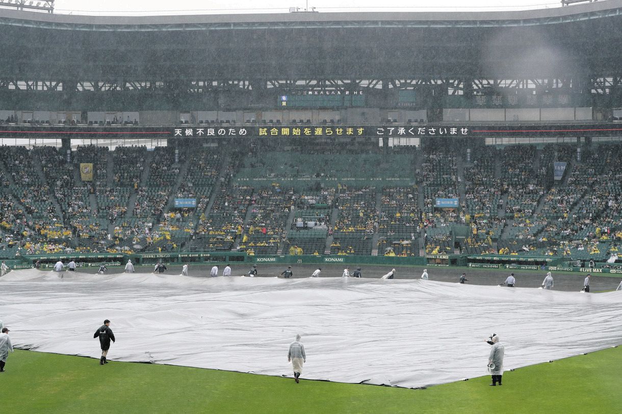 阪神 中日 甲子園 グリーンシート2枚 新しき