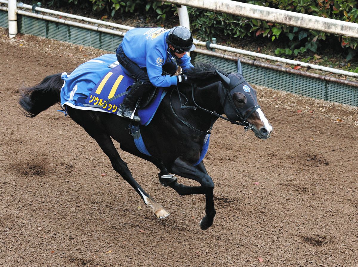 ソウルラッシュ デムーロ　世界限定 ホースレーシングカード 競馬　ドバイターフ ドバイターフ 🇦🇪 #ソウルラッシュ (牡7、栗東・#池江泰寿 厩舎) ㅤㅤ