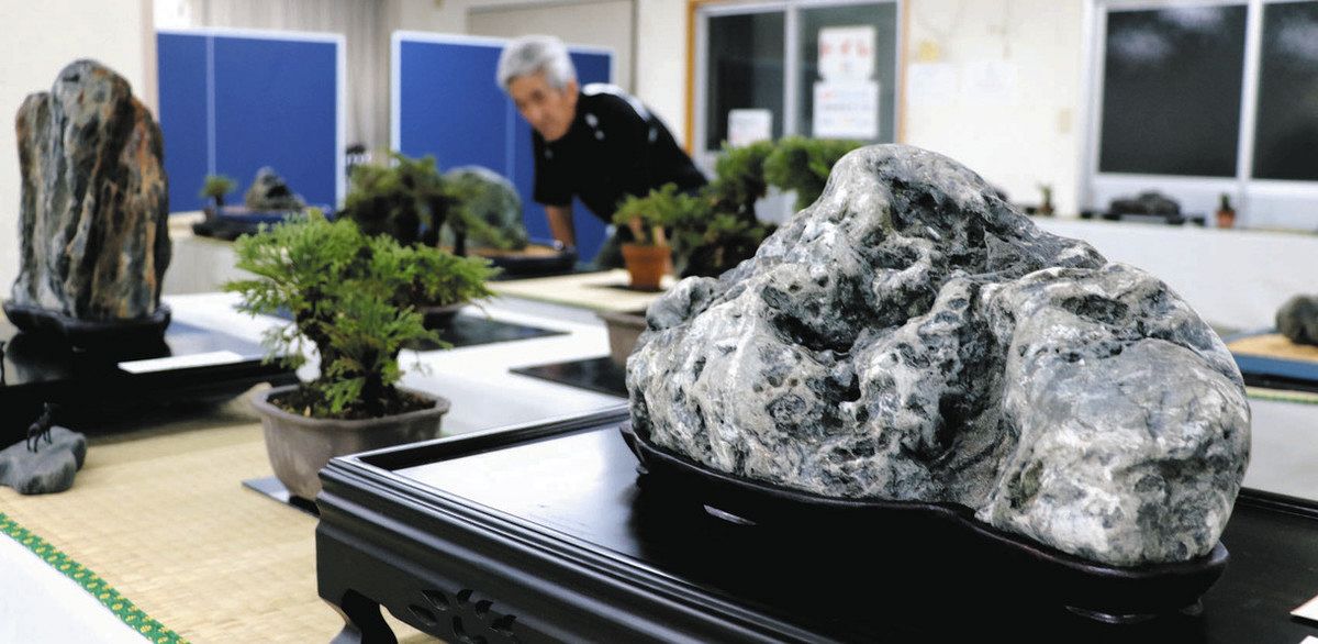 水石 グレーと白の山形状 水石 山の形 グレーと白の模様