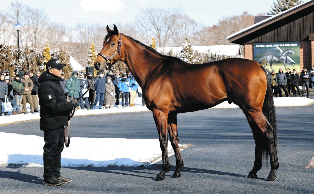 社台SS種牡馬展示会開催 新種牡馬べラジオオペラ、昨年総合