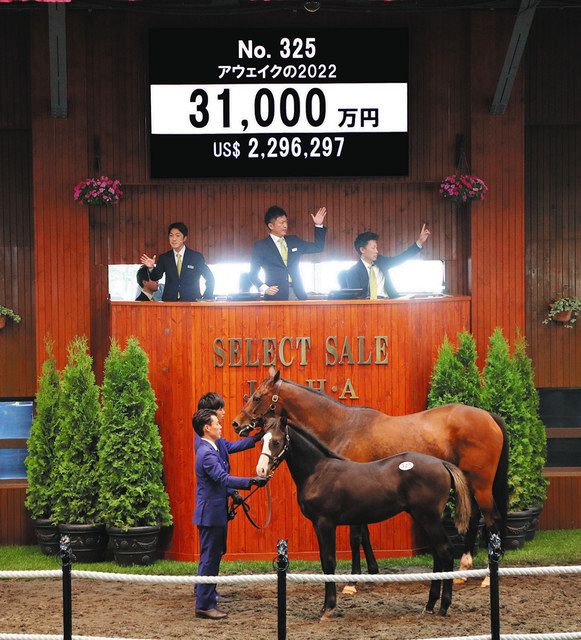 【村本浩平コラム】ブリックスアンドモルタルの産駒がセリ市場で高い評価:中日スポーツ・東京中日スポーツ