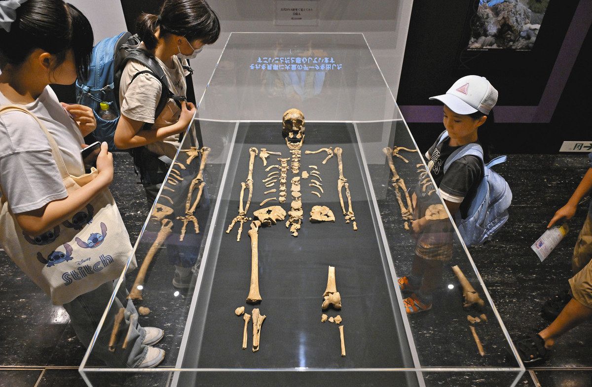 写真特集】DNA分析でたどる日本人の歩んだ道 名古屋市科学館で特別展