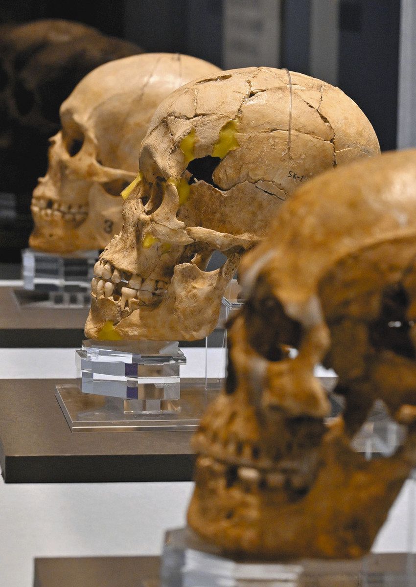 「骨董誕生」 開館二十五周年記念特別展 日本が愛した古器物の系譜 渋谷区立松濤 骨董誕生 開館25周年記念特別展 図録 渋谷松涛美術館 骨董誕生展 図録 【