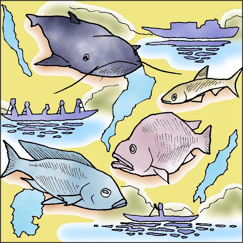 【中古】 中部の水族館/中日新聞社 中古】 中部の水族館/中日新聞社 fumifumi on X: