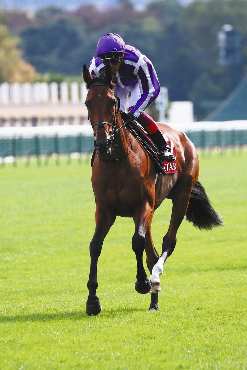 凱旋門賞 注目スノーフォールは馬番15 武豊騎乗ブルームは馬番3 日本勢はクロノ馬番7 ボンド馬番2に決定 中日スポーツ 東京中日スポーツ