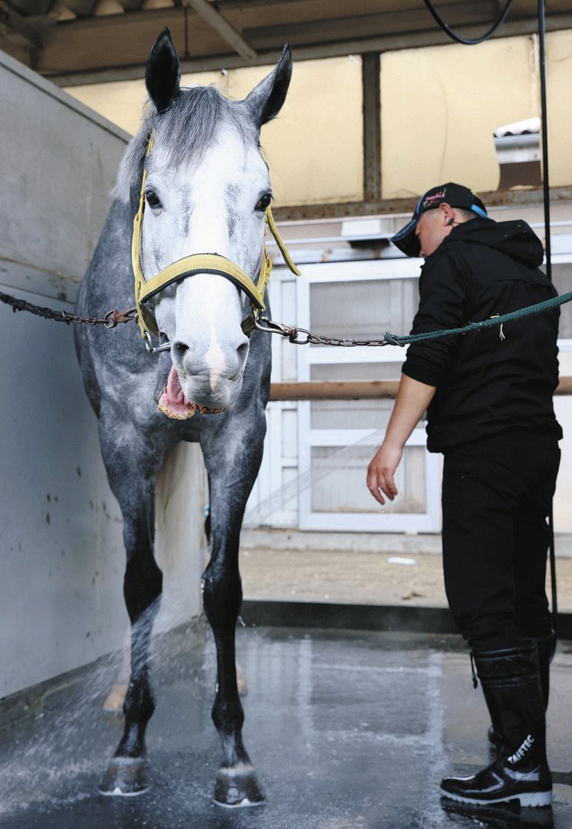 金鯱賞】遅咲きの5歳馬マイネルモーント、重賞3度挑戦で2度の2着と着実
