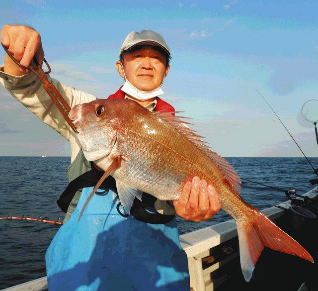 マダイ最盛期 三重県鳥羽市 国崎沖 中日スポーツ 東京中日スポーツ マダイ最盛期 三重県鳥羽市 国崎沖 中日スポーツ 東京中日スポーツ
