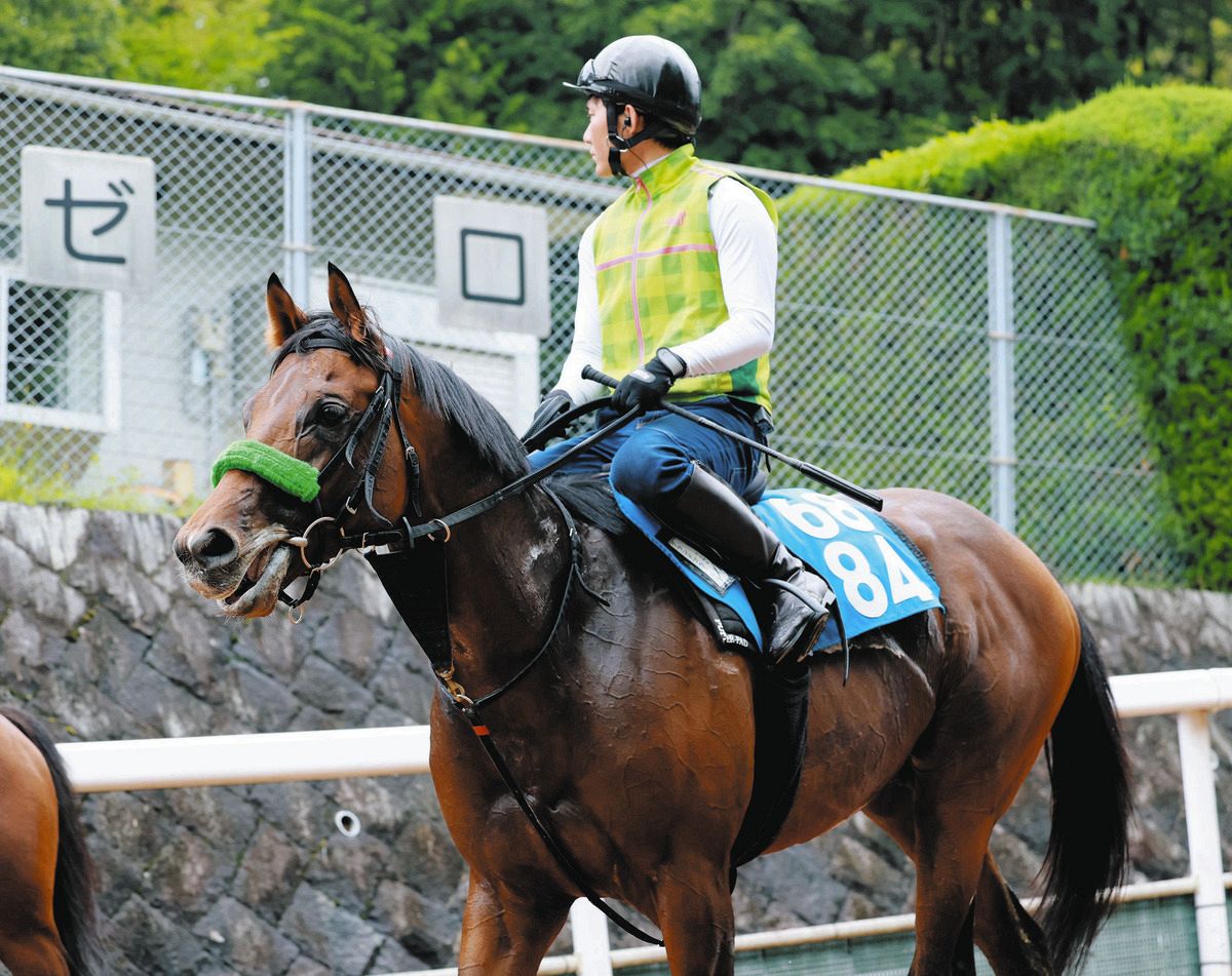 阪神 11 レース