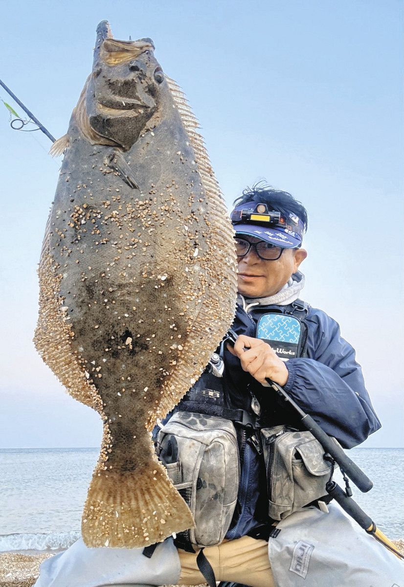 ヒラメ 超巨大】95cm9.2kgのヒラメをオカッパリ泳がせ釣りで仕留めた冒険