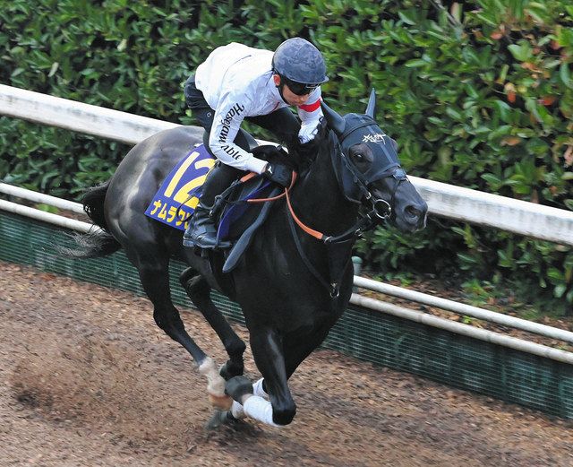 スプリンターズS】ナムラクレアが悲願のGI初制覇へ 初騎乗の横山