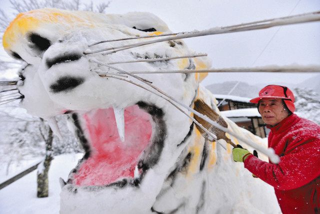 県道沿いにトラが出た？ 高山・朝日の桑之島町内会が雪像制作：中日新聞Web