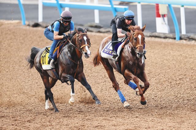 コントレイル野望を阻む 打倒1番手のサリオスは6枠12番 皐月のときより 一段階上がった仕上がり 森助手もレーンも 自信 見せる 中日スポーツ 東京中日スポーツ