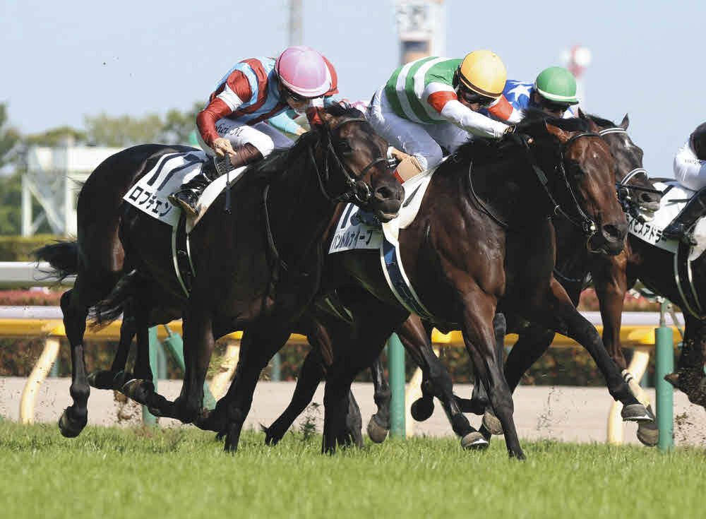 ダービー】皐月賞馬ロブチェンが史上25頭目の二冠達成 松山弘平騎手は