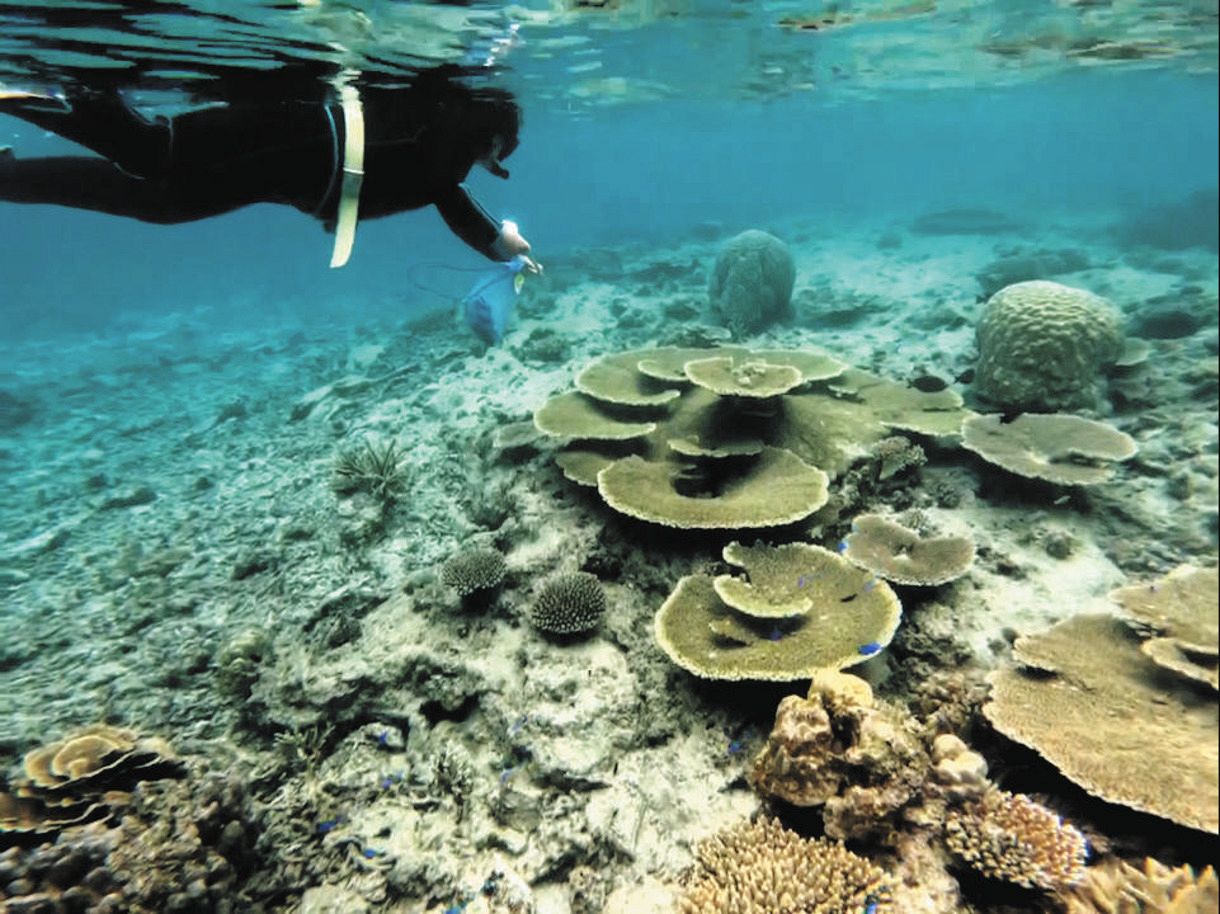 遊戯王作者死亡 どこの海?