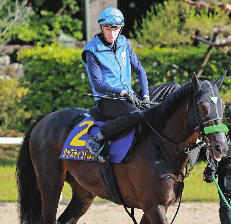 第66回 宝塚記念 ジャスティンパレス ミニゼッケン 【宝塚記念レース