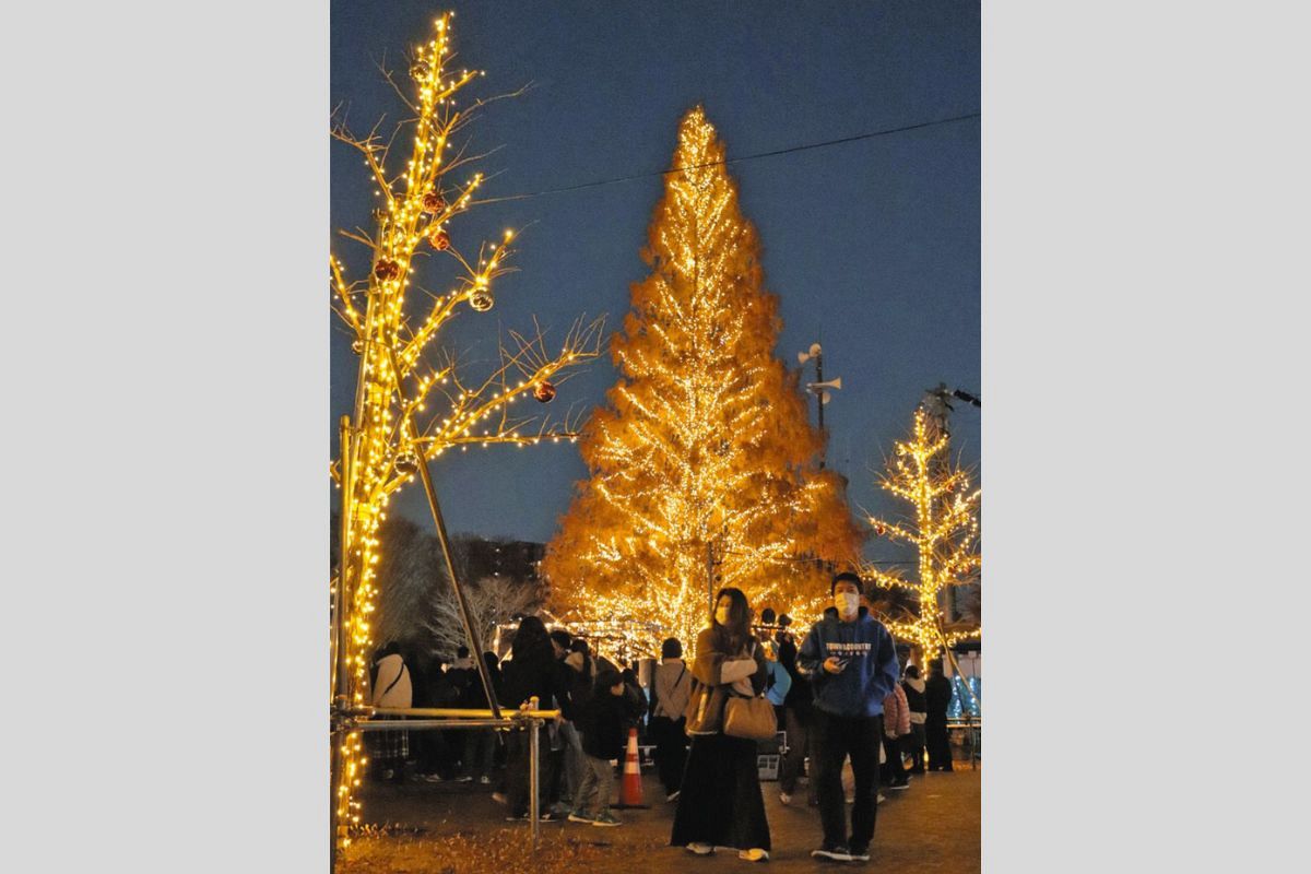 22メートルのクリスマスツリー、児童のアイデアで実現 三重県松阪市で