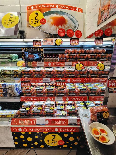 卵陳列棚（１１月末までの最終案内） 卵陳列棚（11月末までの最終案内）