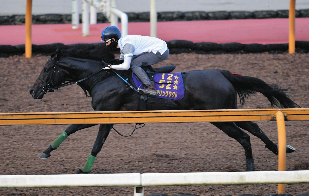 3冠牝馬デアリングタクト かつての輝きを取り戻すか 4つめのg1制覇への態勢着々 エリザベス女王杯 中日スポーツ 東京中日スポーツ