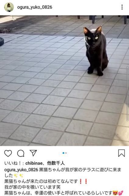 写真 ゆうこりんが投稿した 幸運の使い手 中日スポーツ 東京中日スポーツ