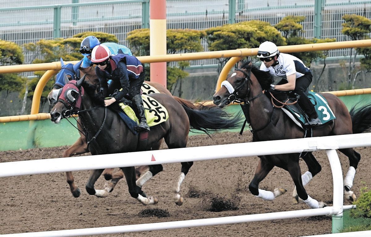 函館2歳S・追い切り】武豊騎乗のデビュー戦で6馬身ちぎったシグレは