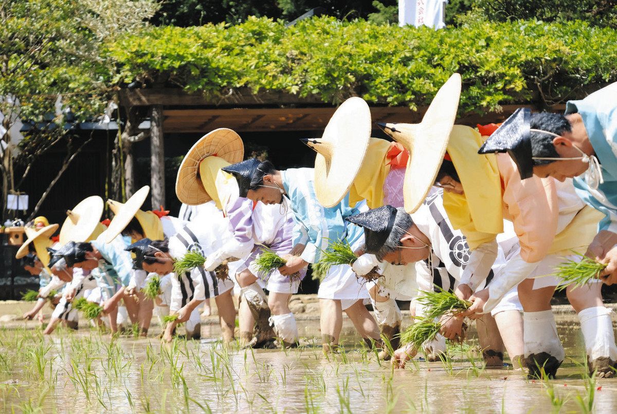 【呪物】豊穣祈願の依代像　小型守護像　家内安全　五穀豊穣　安全祈願　縁起物 五穀豊穣や豊漁祈願し苗植え 伊勢で御田祭：中日新聞Web