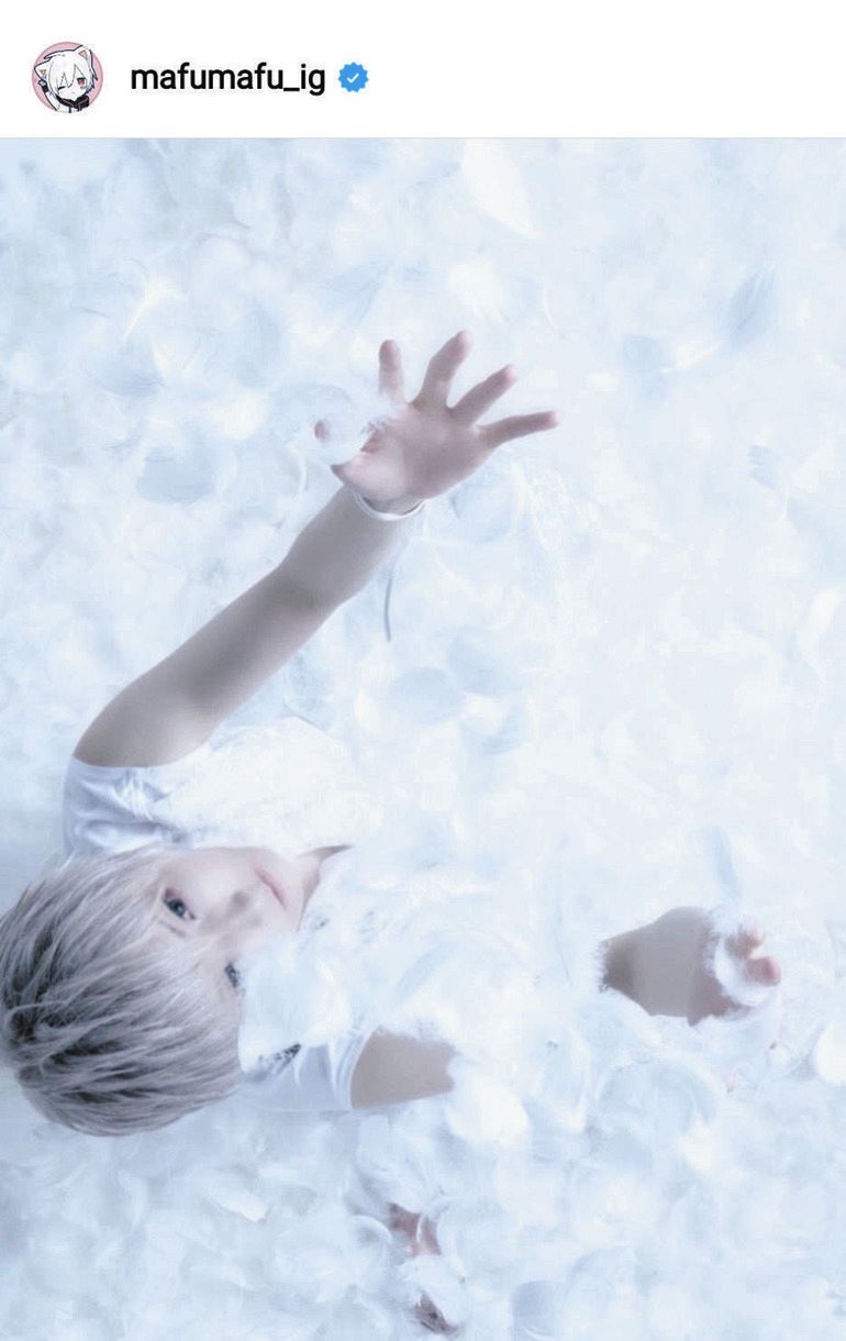 写真 まふまふ 白い羽に包まれた最新ショット 中日スポーツ 東京中日スポーツ