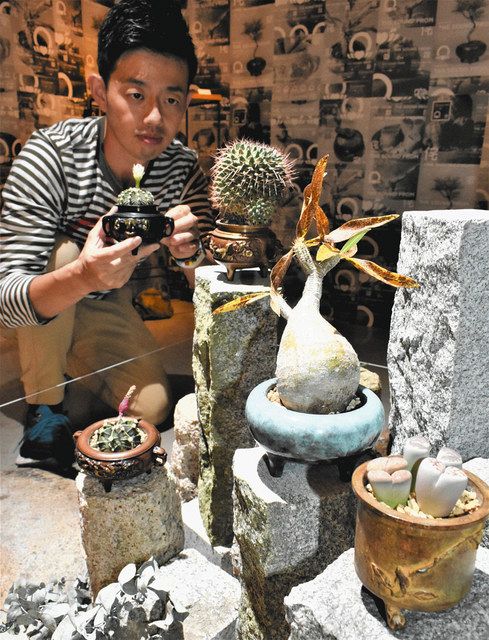 上品スタイル 仁】『銅製・銀鍍・桃子酒壺・置物・賞物』極細工 古賞物 中国 その他