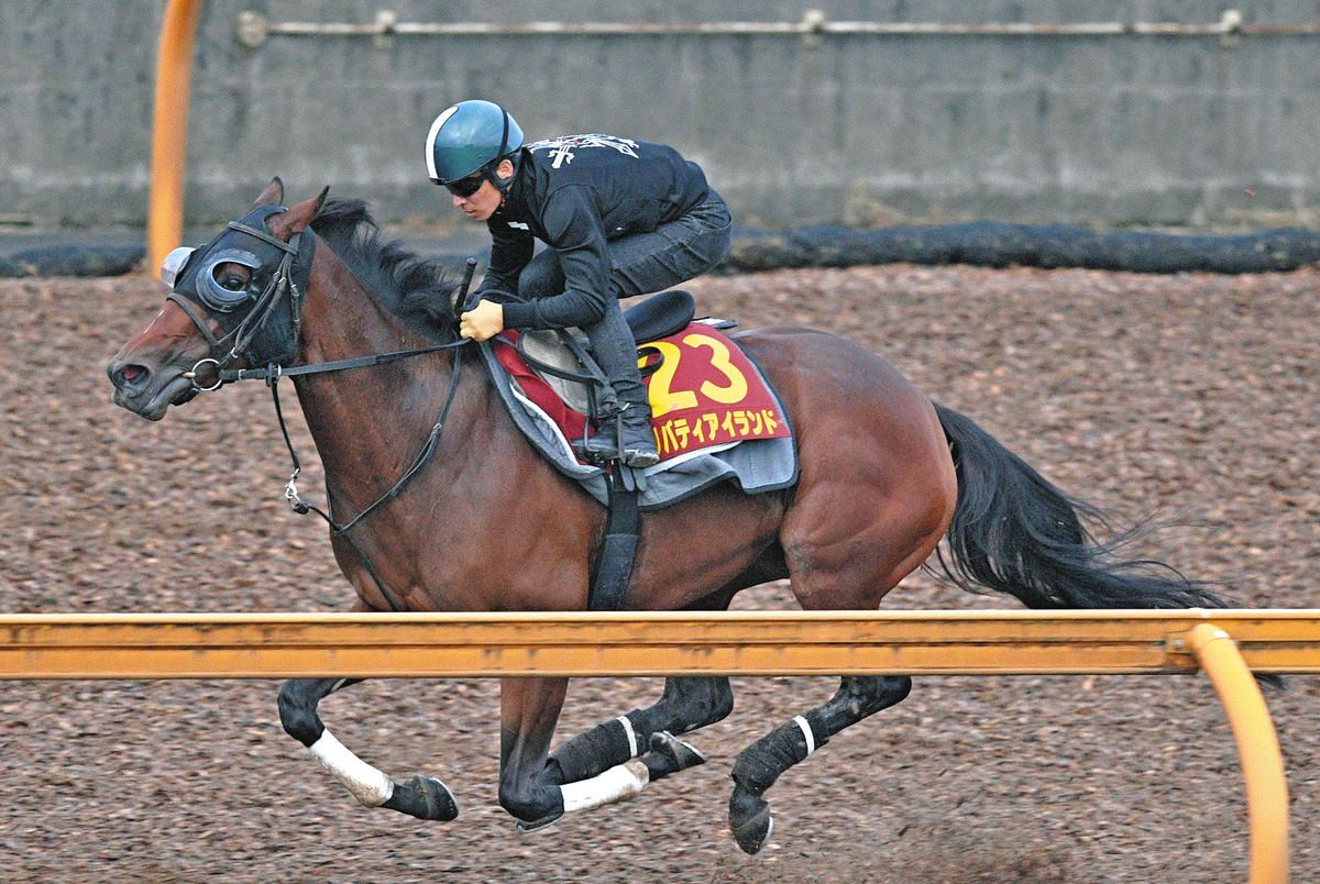 秋華賞】リバティアイランド栗東CWで6F82秒1―37秒2―11秒7でしめくくる