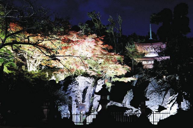 夜の幻想 照る山紅葉 大津 石山寺でライトアップ 中日新聞web