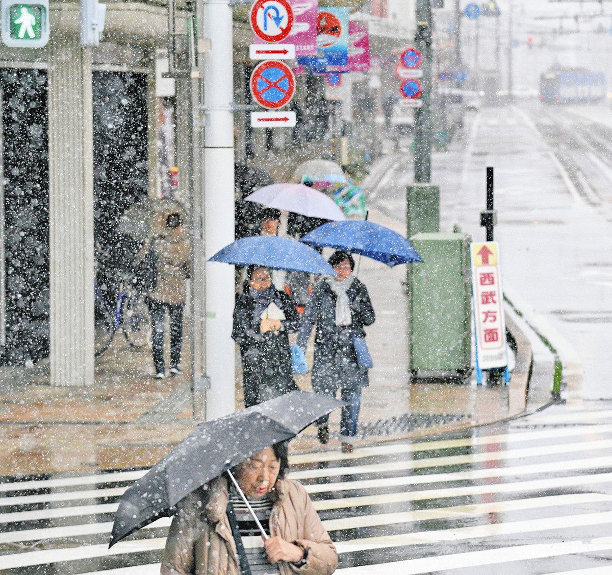 初雪 寒っ ！ 福井で初雪 県内各地 今季最低気温：日刊県民福井Web