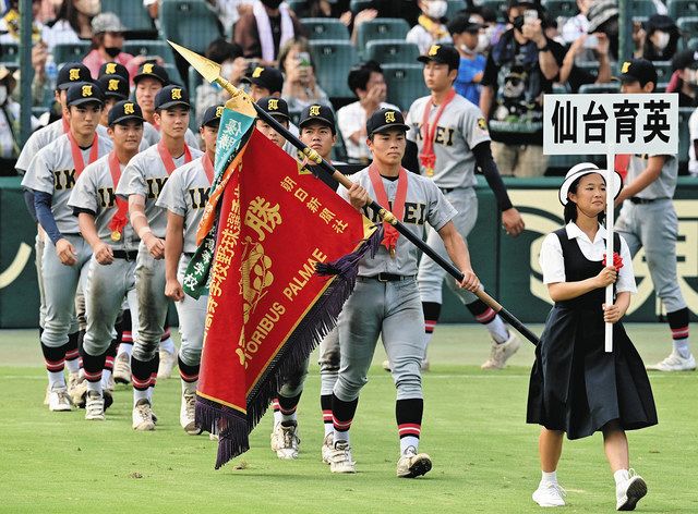 日本最大級の品揃え 全国高校野球 新聞 宮城県大会 仙台育英 日刊