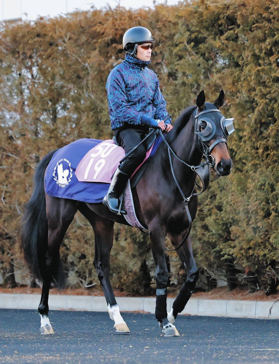 熊沢重文さんの二刀流予想】輪かけて混戦…今年の桜花賞◎アランカール