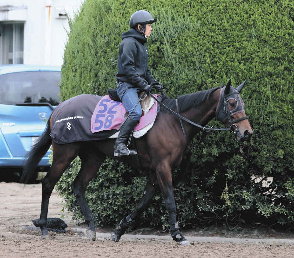 阪神JF】特別登録馬26頭を発表、重賞勝ち馬はゼロ 400万円の15頭は抽選