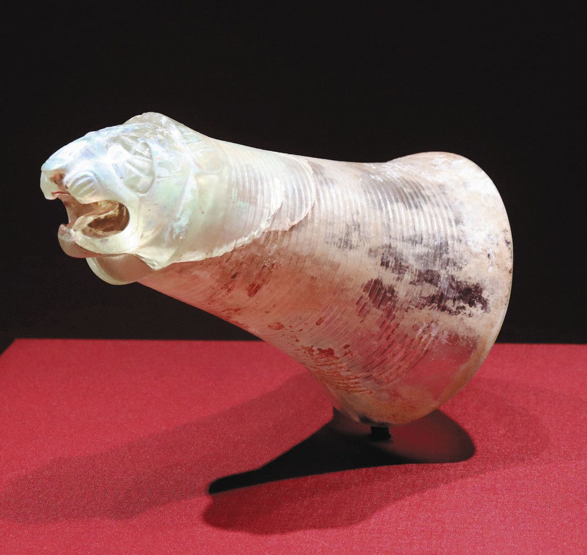 色彩豊かな古代ガラス 甲賀の美術館で特別展：中日新聞Web