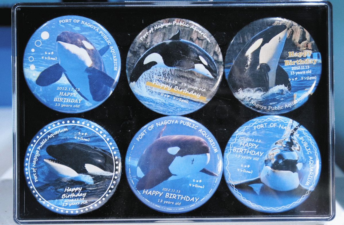 もうすぐ13歳、缶バッチで人気者をお祝い 名港水族館の返礼品