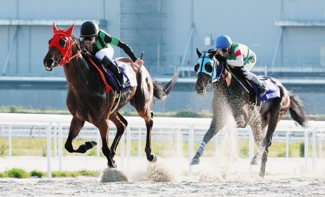 どぶたリストンリーフレット