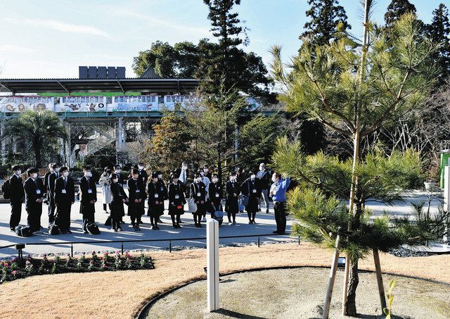 一本松の後継樹 力強さ感じた 陸前高田の中学生 東山動植物園で見学 中日新聞web