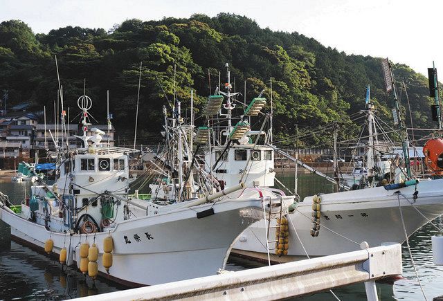 熊野灘 サンマ漁期終了 熊野市では漁獲３年ぶりゼロ 中日新聞web