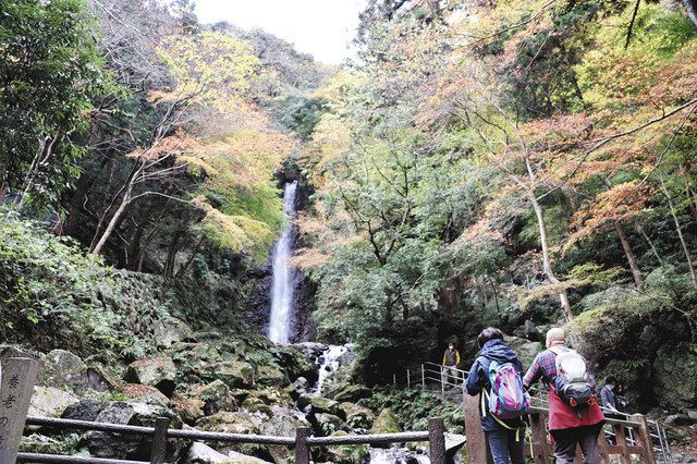 養老の滝の紅葉 見頃 撮り頃 中日新聞web