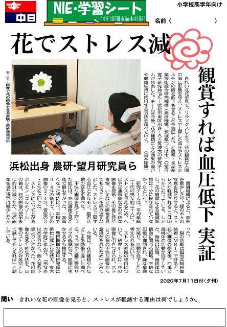 花でストレス減 中日新聞しずおかweb