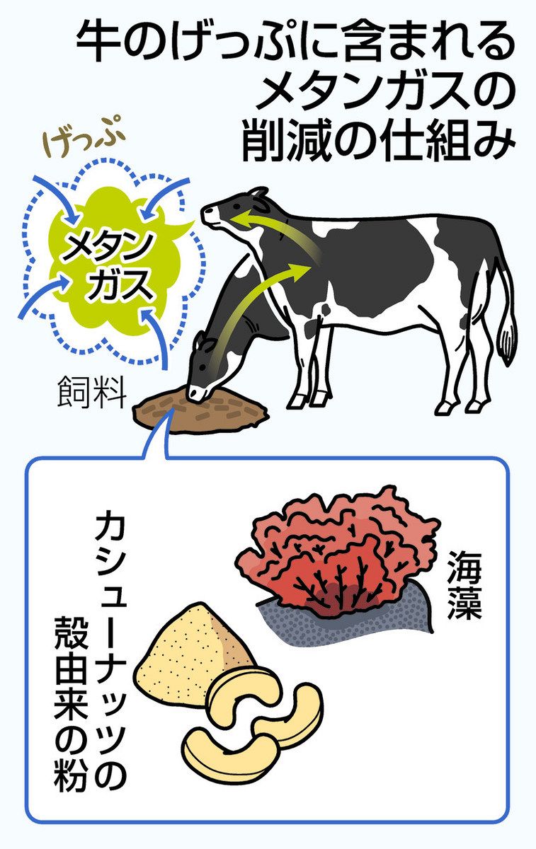牛 げっぷ メタン