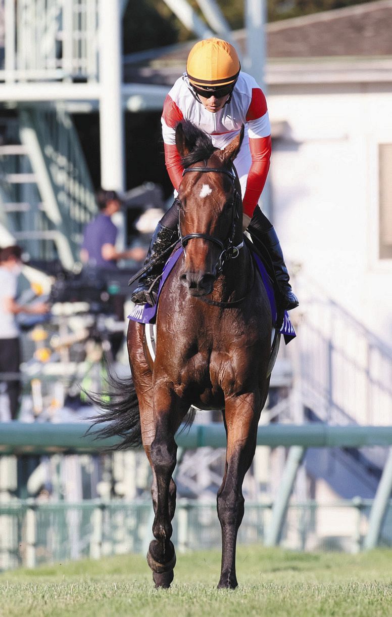 川田 動きたいときに動けなかった 1番人気ダノンスマッシュ 末脚不発6着 スプリンターズs 中日スポーツ 東京中日スポーツ