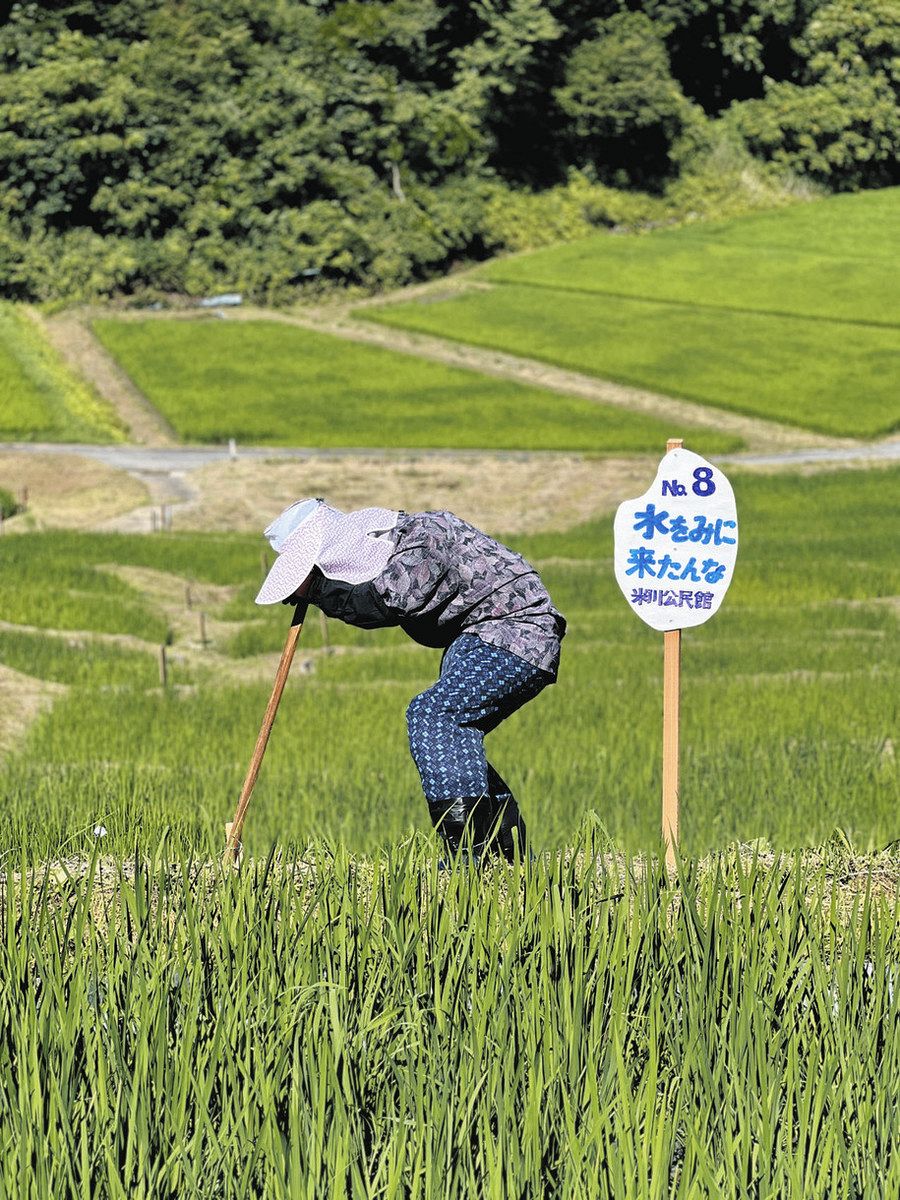 個性豊かな案山子の作品募集 飯田・よこねたんぼで今年もコンテスト