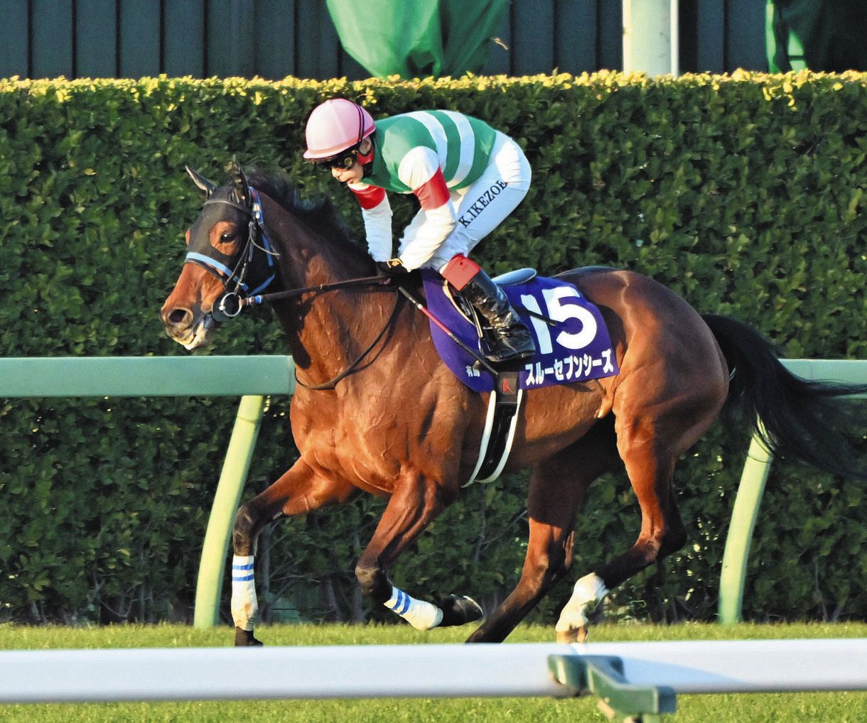 有馬記念スルーセブンシーズ鞍上の池添謙一「3番人気に支持して