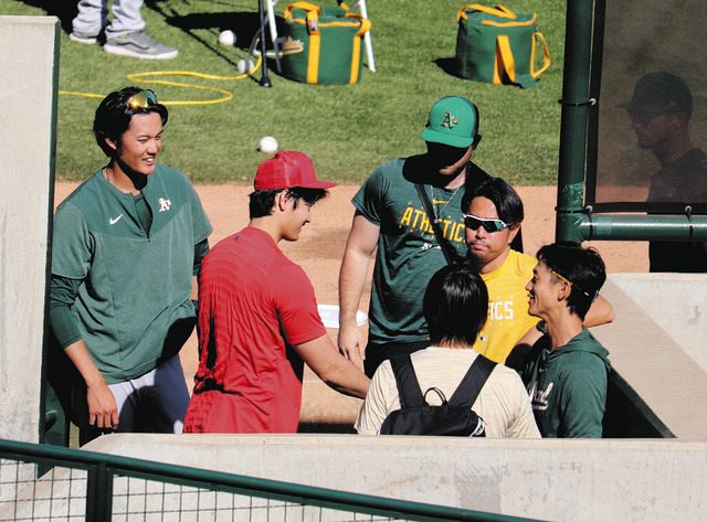希少 プロ野球オーナーズリーグ 大谷翔平 藤浪晋太郎2セット 希少 プロ野球オーナーズリーグ 大谷翔平 藤浪晋太郎2セット