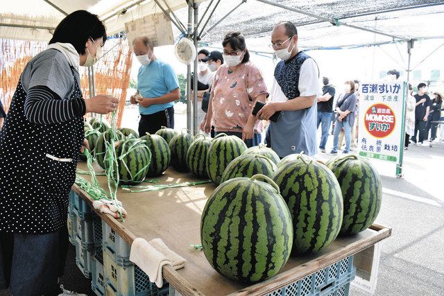 すいか村」オープン、波田の農家が直売 JA松本ハイランド：中日新聞Web