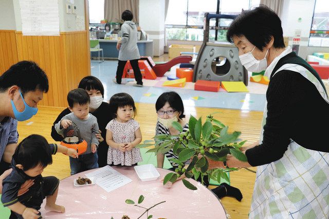 自然を大切にする心持って 神戸の元保育士 葉っぱおばさん 水野さん 中日新聞web